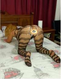 Gerçek Escortlarla Tanışın: Onların Dünyasına Adım Atmak İstemez misiniz?